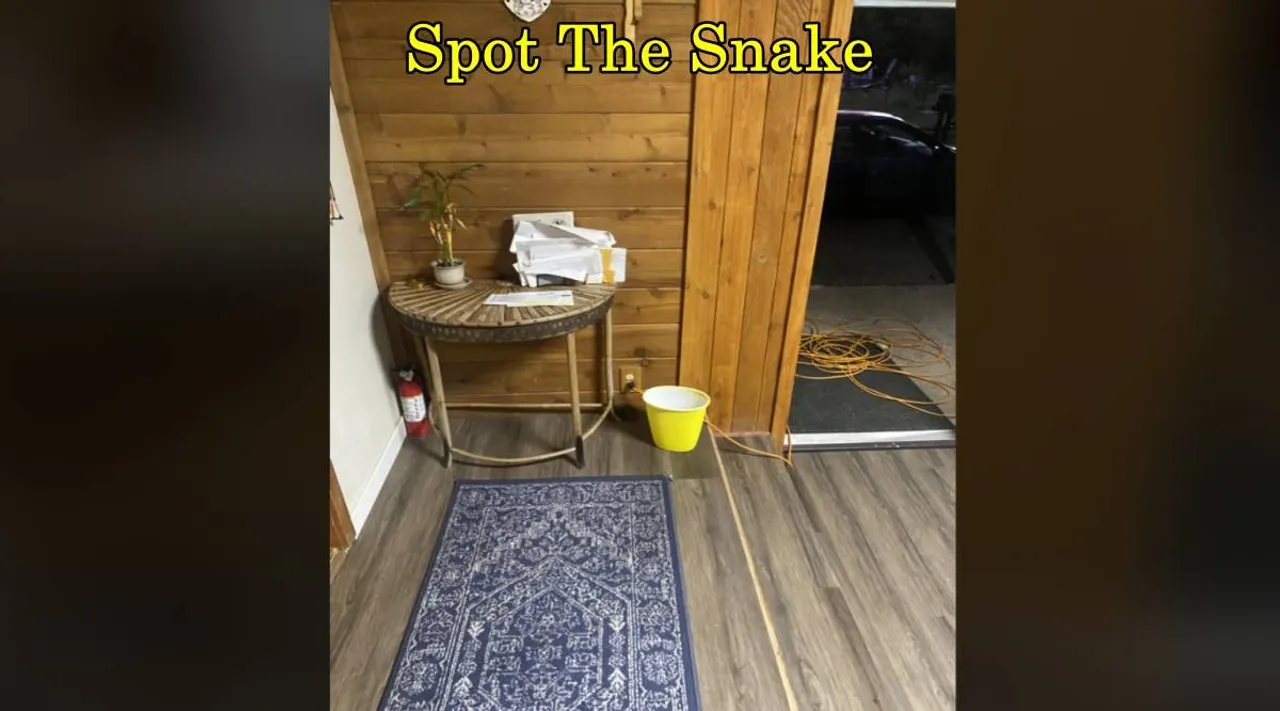 Snake house 1