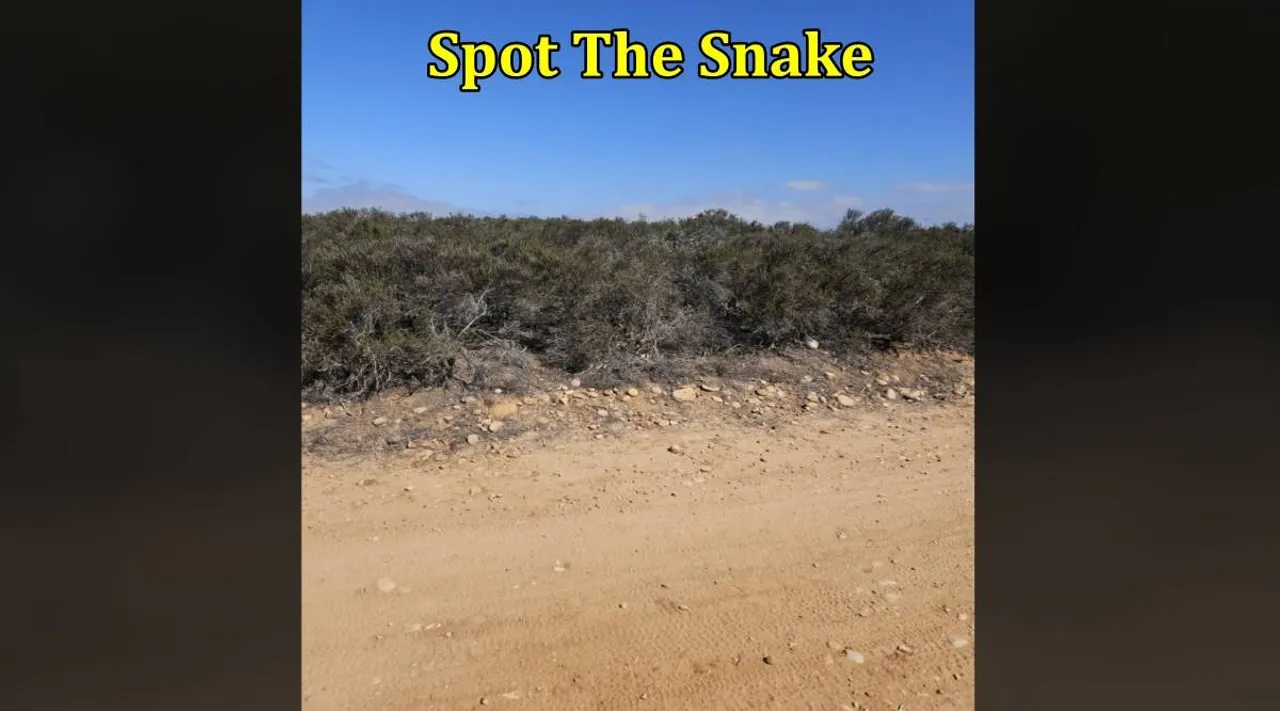 Snake road 1