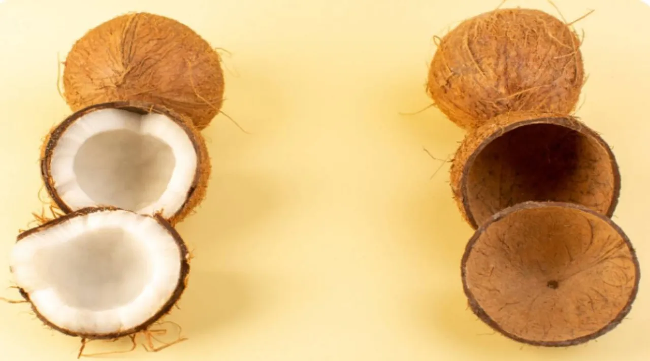 coconut shells
