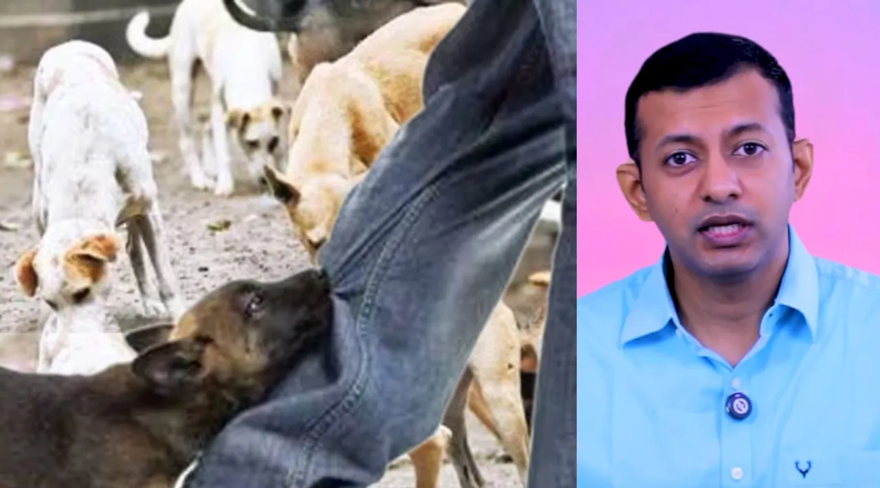 Rabies treatment