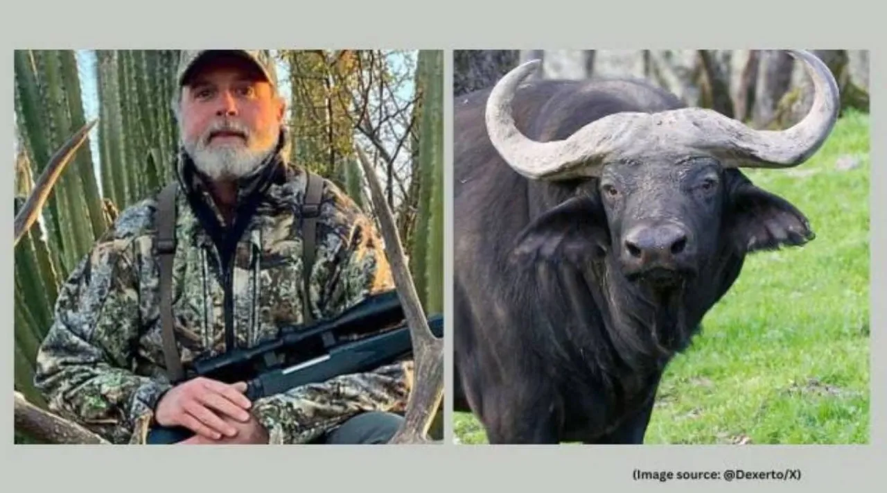 Watkins buffalo