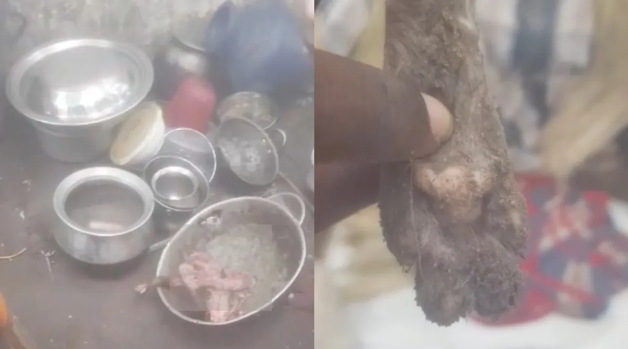 Puducherry dog meat sale police probe Tamil News