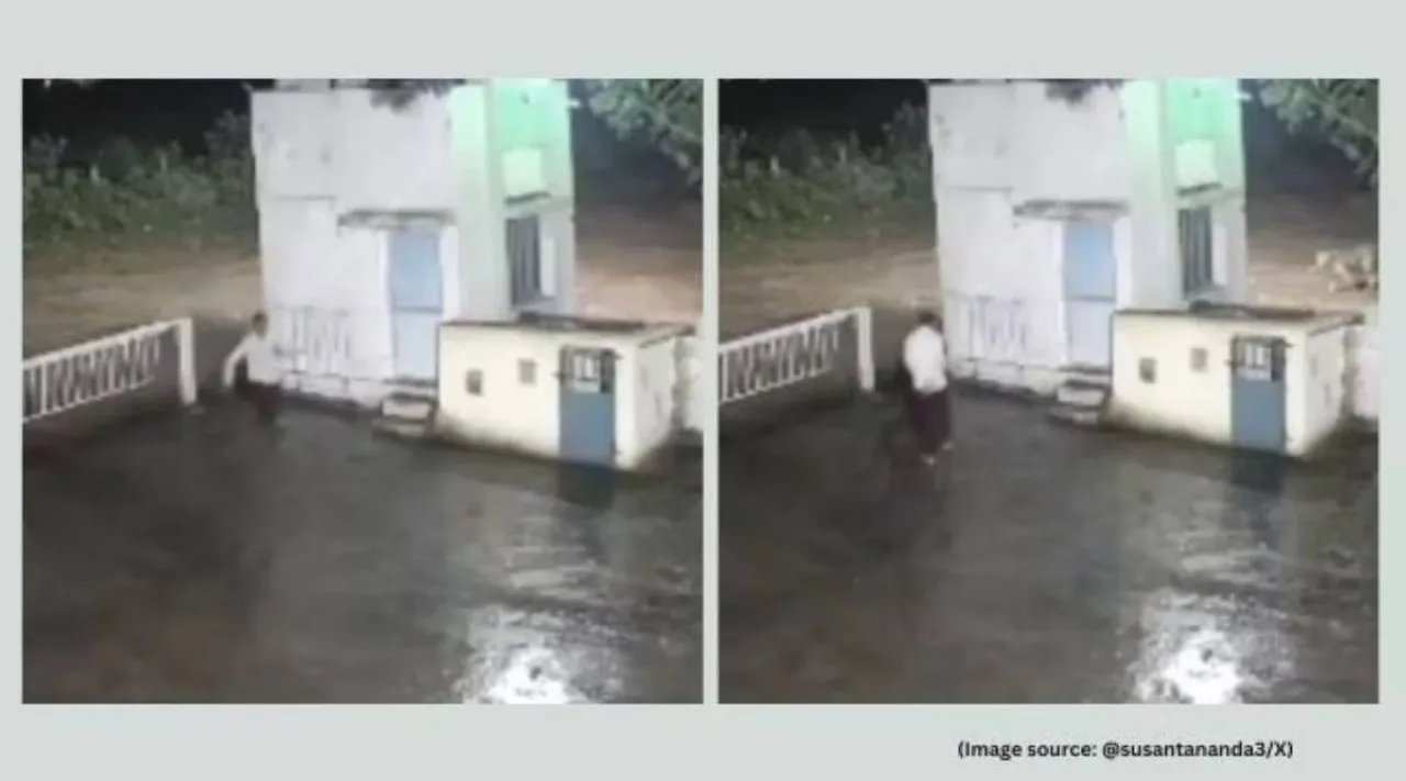 Man lion encounter