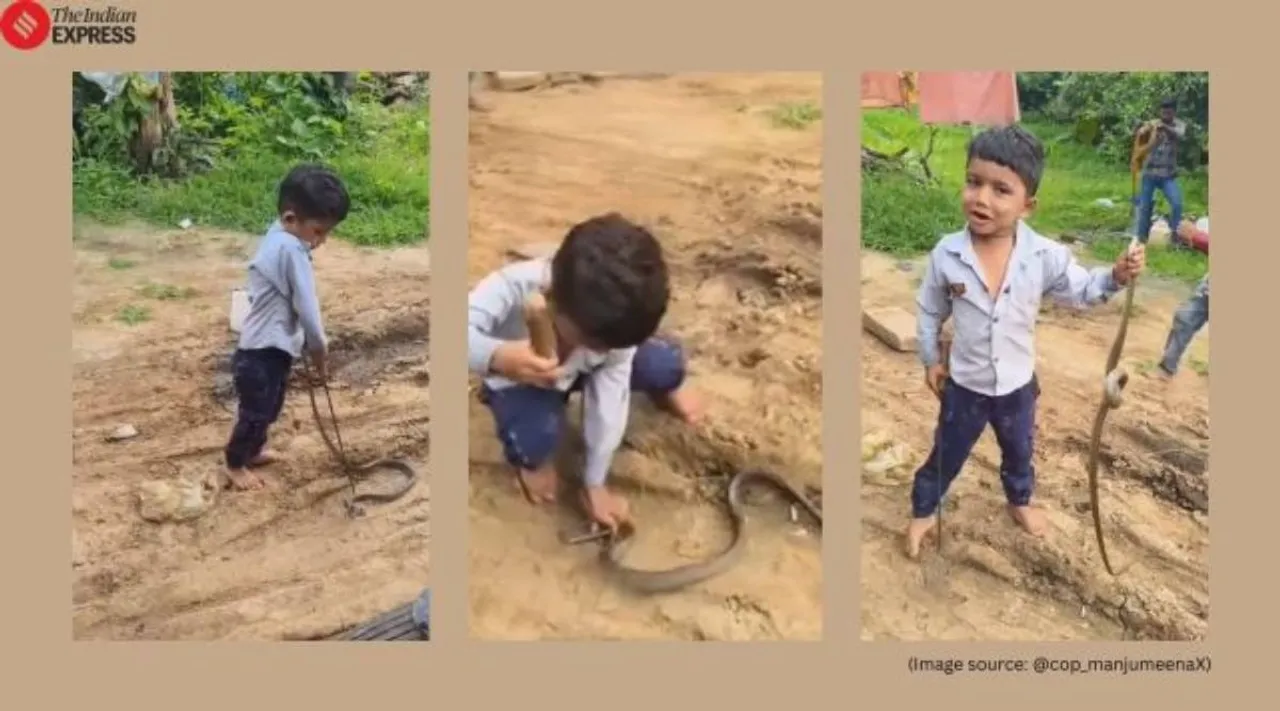 child catch snake