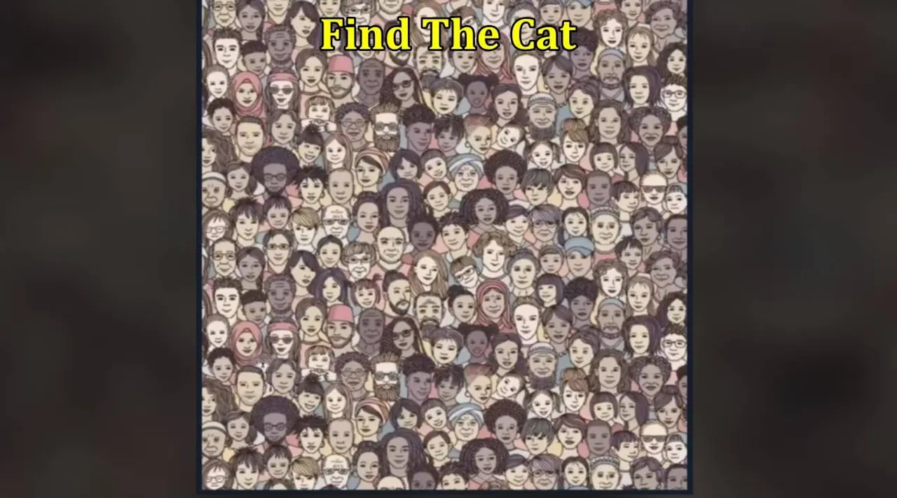 Find Cat 1