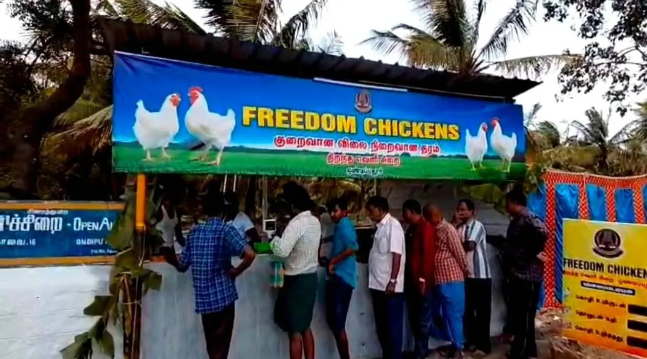 freedom chicken