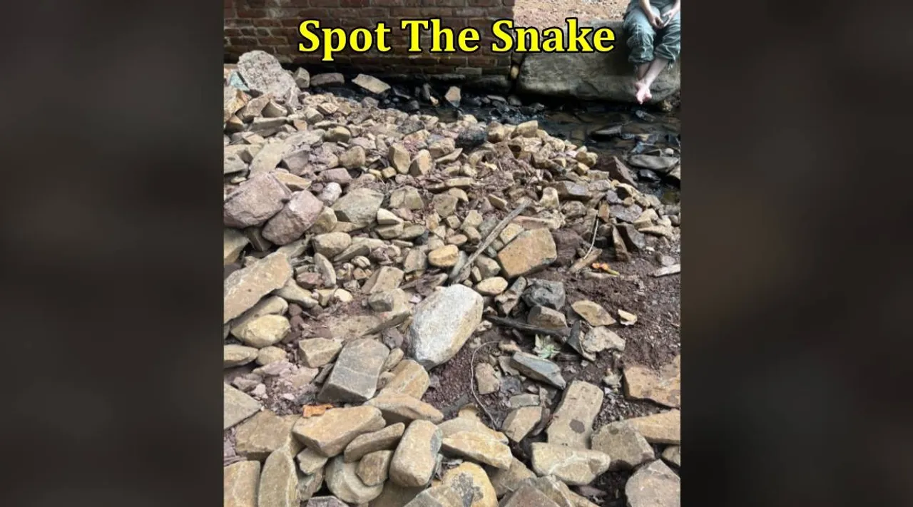 Snake stone 1