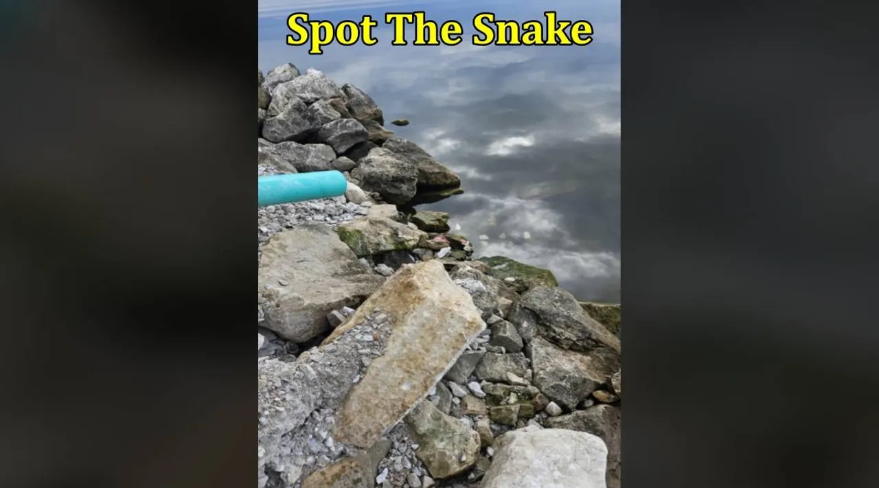 Snake mountain 1