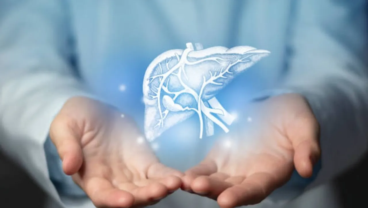 istockphoto-1360244592-612x612 (1)