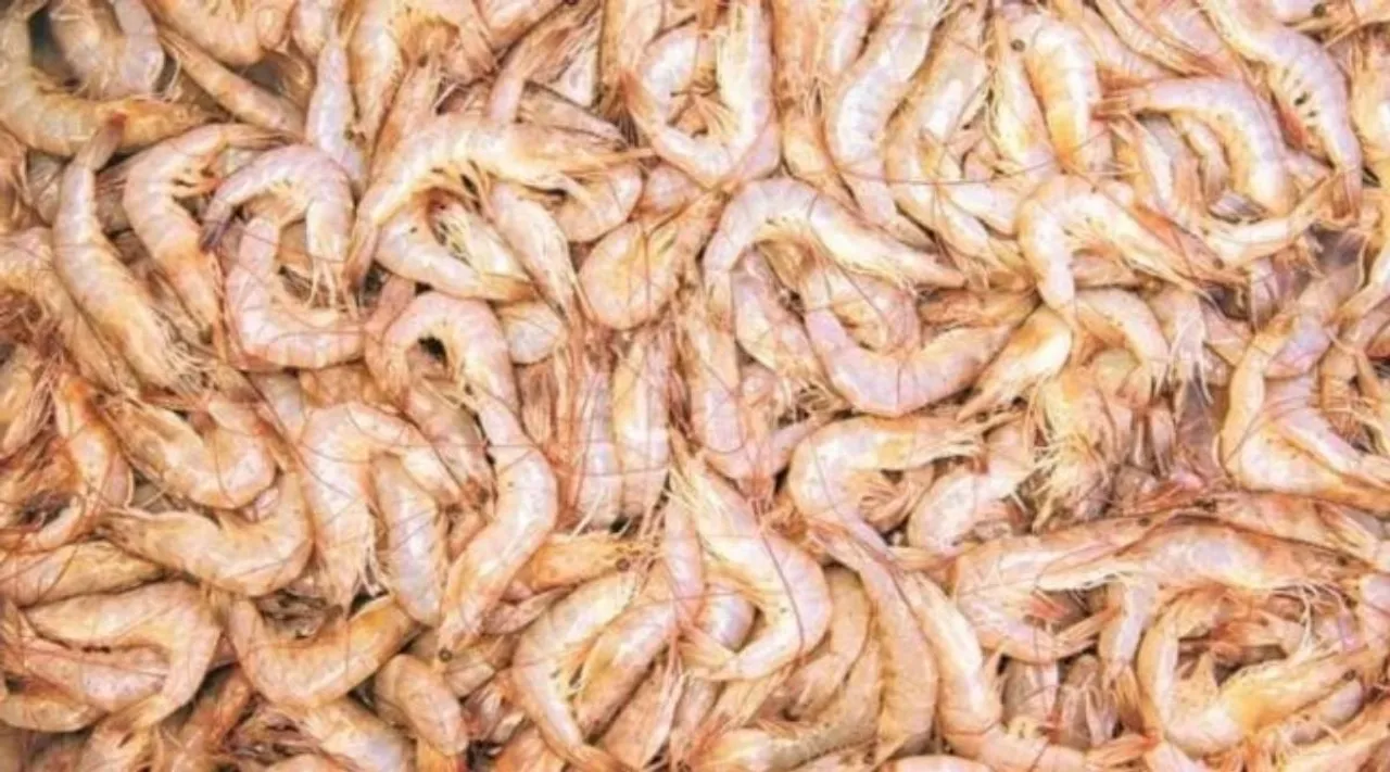 prawn export
