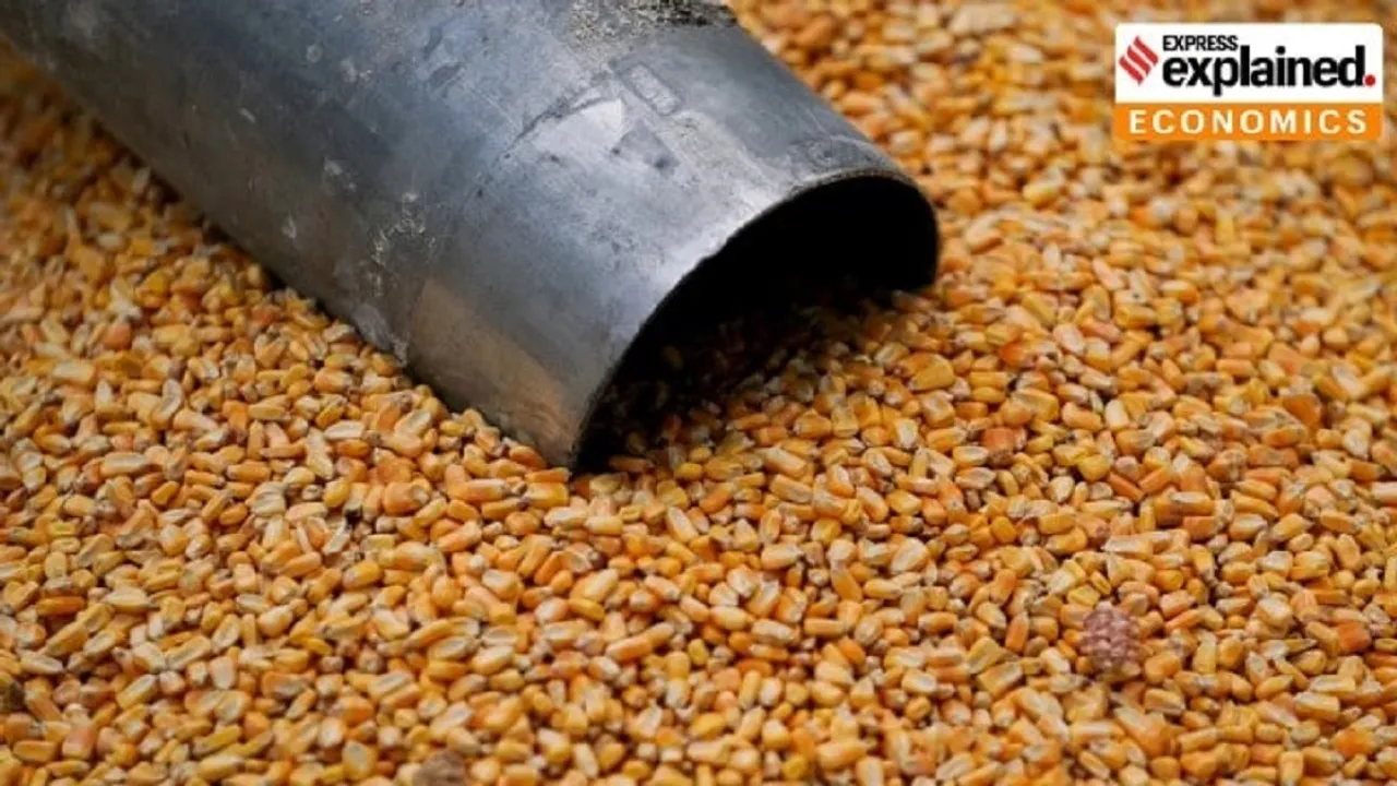 US corn exports India