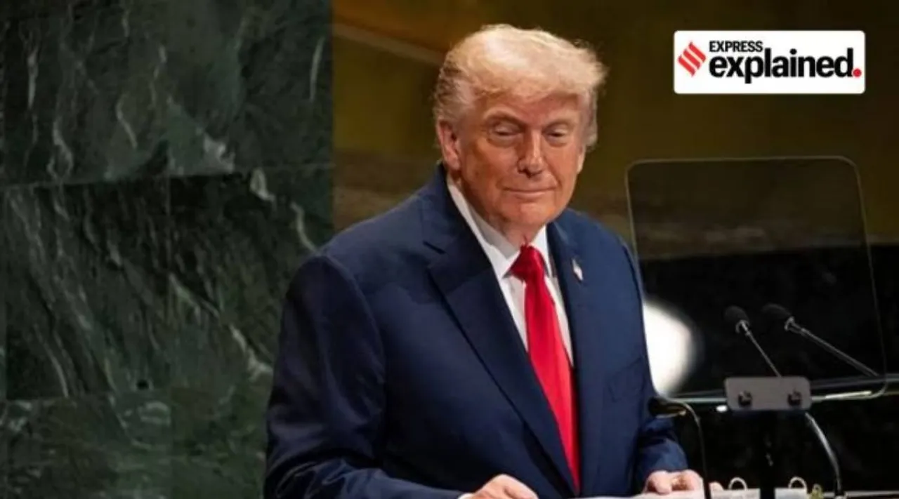 trump 11