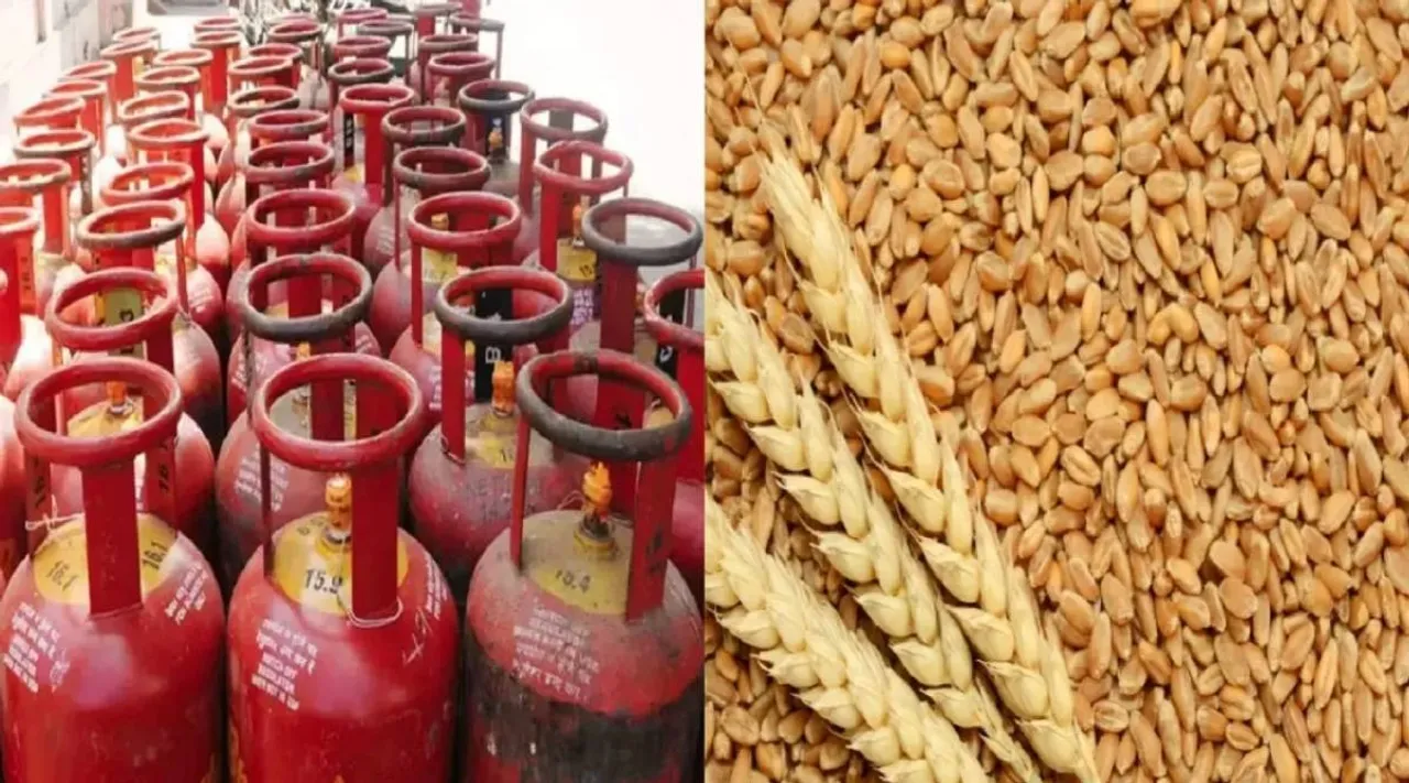Free Wheat Rice Gas Cylinder PDS