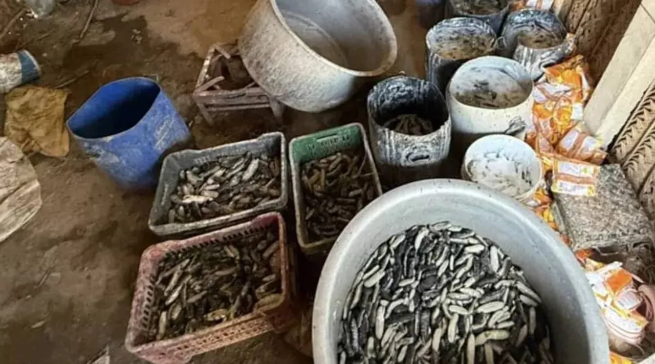 Ramanathapuram sea cucumber seizure