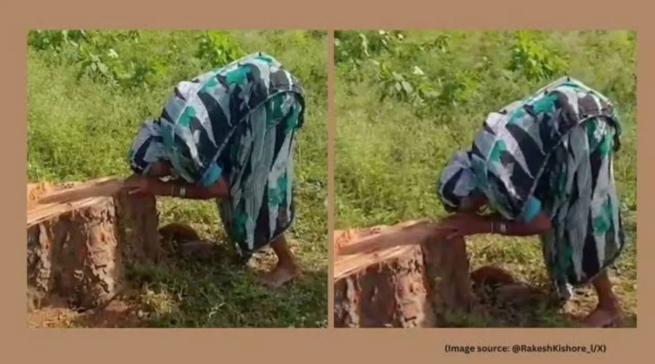 Peepal tree cut down