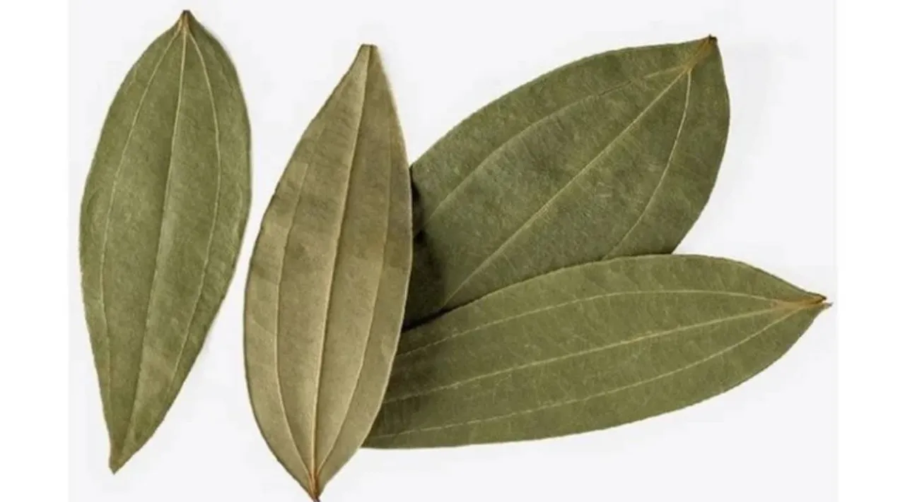 _bay leaf