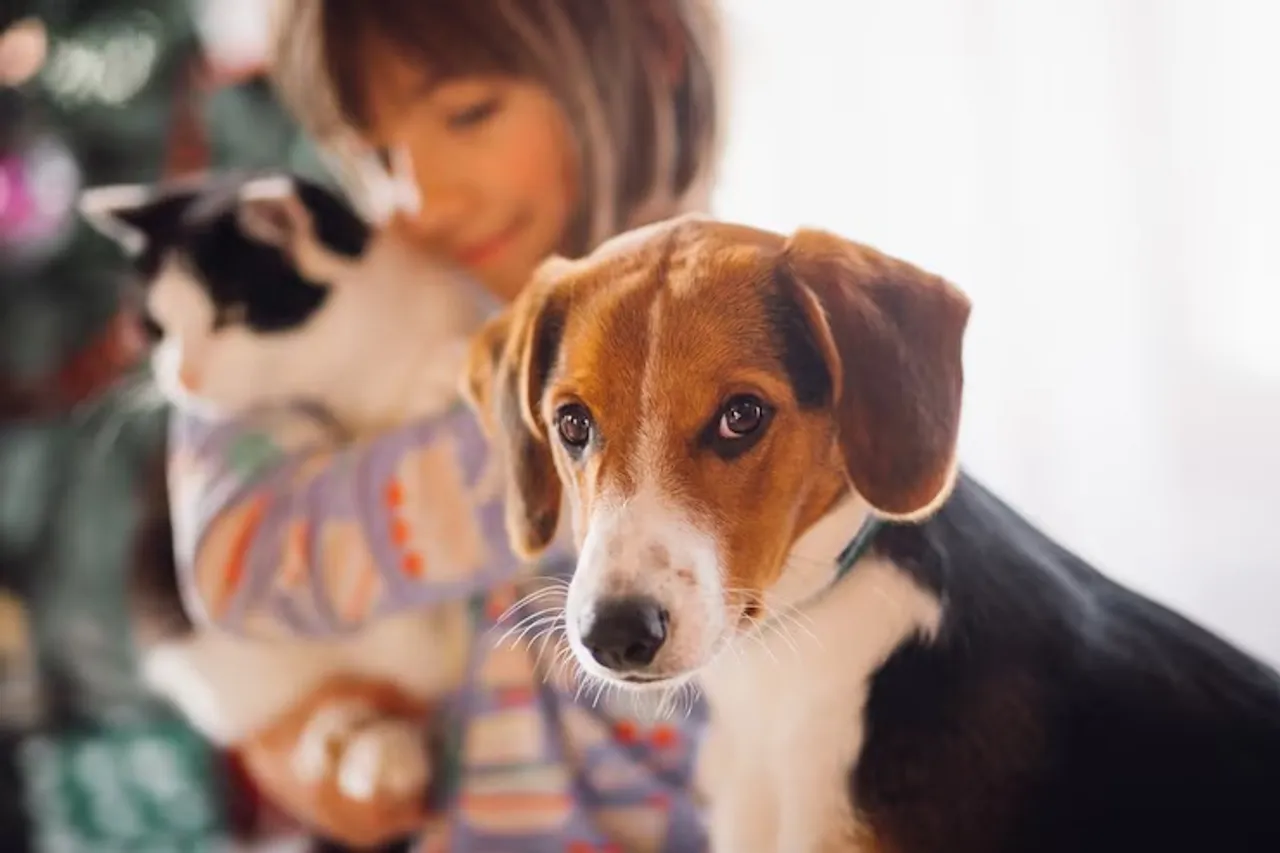 dog-sitting-near-girl_8353-5282