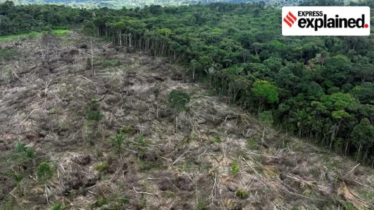 Deforestation