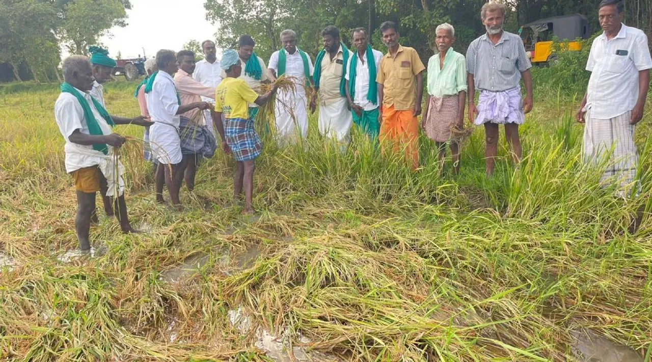 paddy pr pandiyan