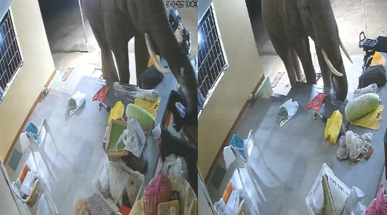 Coimbatore Vettaiyan Wild Elephant cctv footage viral Tamil News