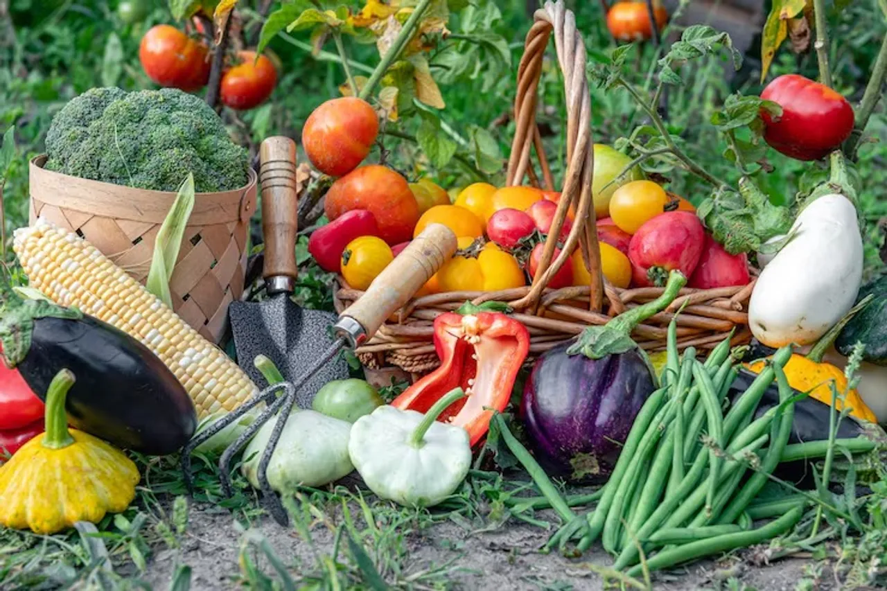 composition-fresh-vegetables-blurred-vegetable-garden-background_169016-40137