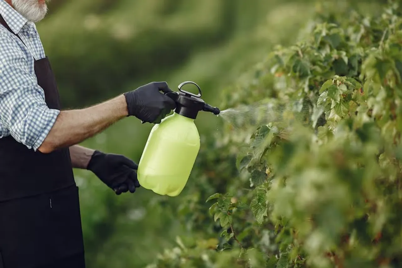 farmer-spraying-vegetables-garden-with-herbicides-man-black-apron_1157-39707