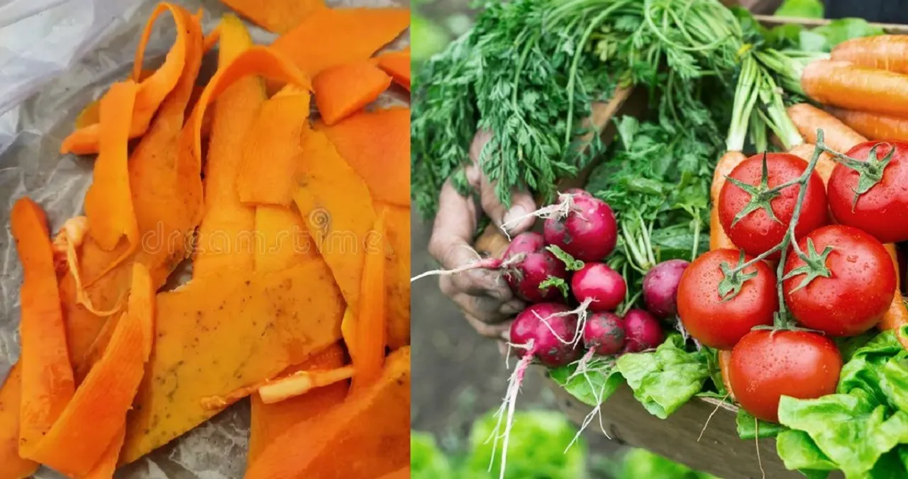 Papaya liquid fertilizer homemade garden fertilizer best fertilizer for flowering plants effective garden hacks