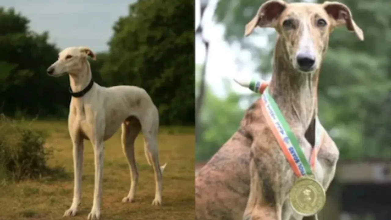 Screenshot 2025-10-27 162657