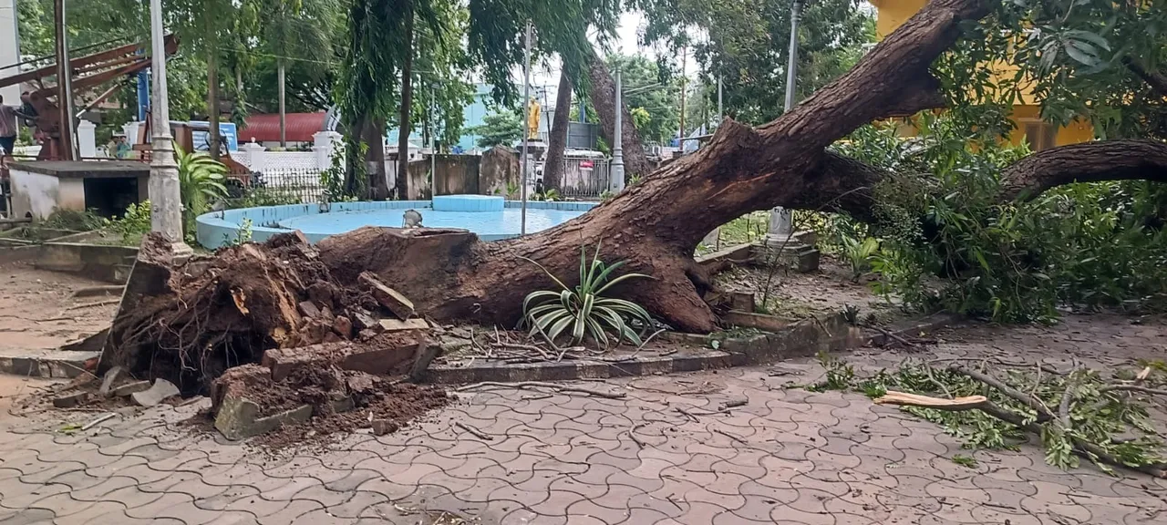 WhatsApp Image 2025-10-28 at 6.57.31 PM