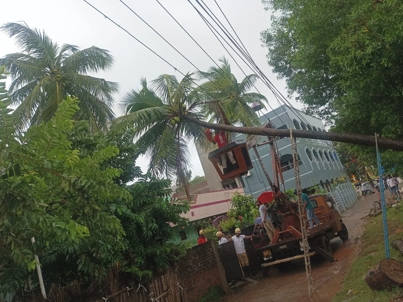 WhatsApp Image 2025-10-28 at 6.57.52 PM