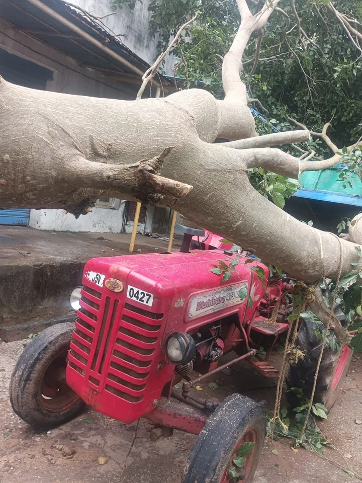 WhatsApp Image 2025-10-28 at 6.58.45 PM