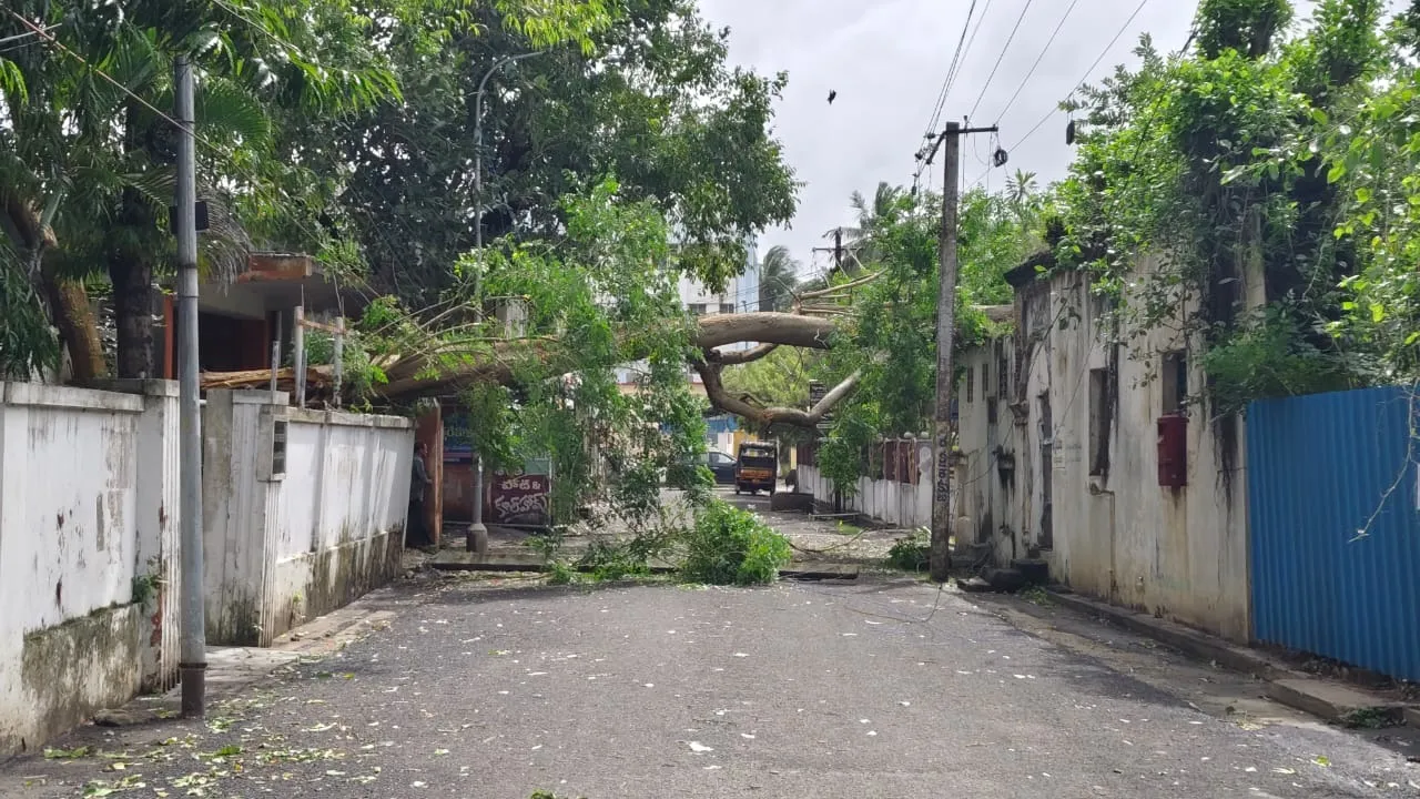 WhatsApp Image 2025-10-28 at 7.00.45 PM