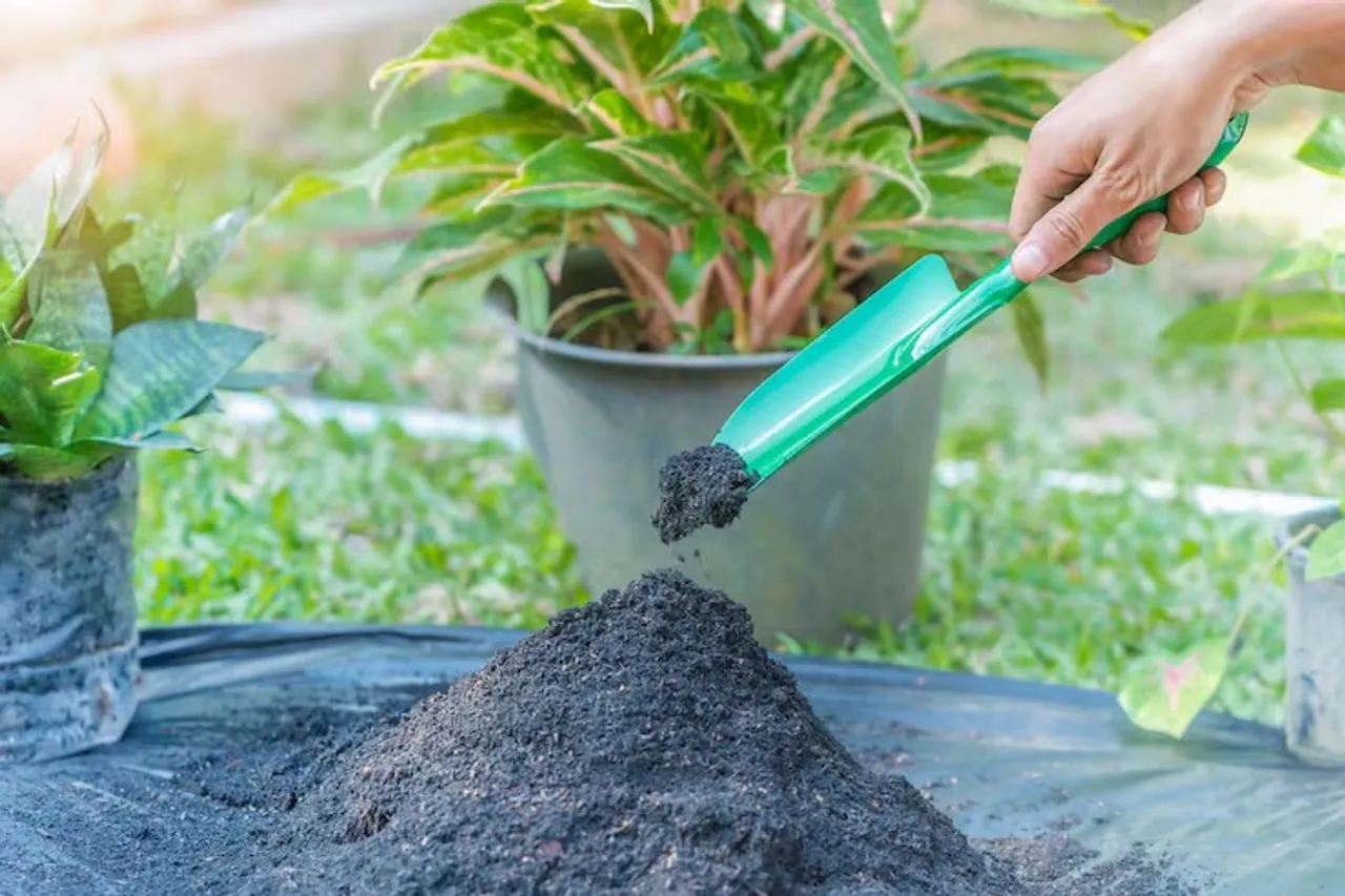 preparation-soil-mixture-from-fertile-compost-humus-vermiculite-black-garbage-bag-floor_1048944-6211545