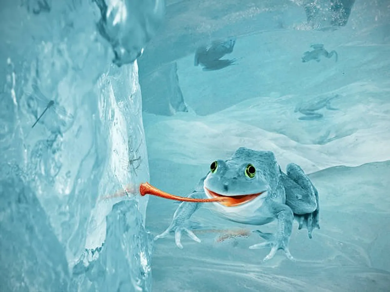 istockphoto-467120838-612x612