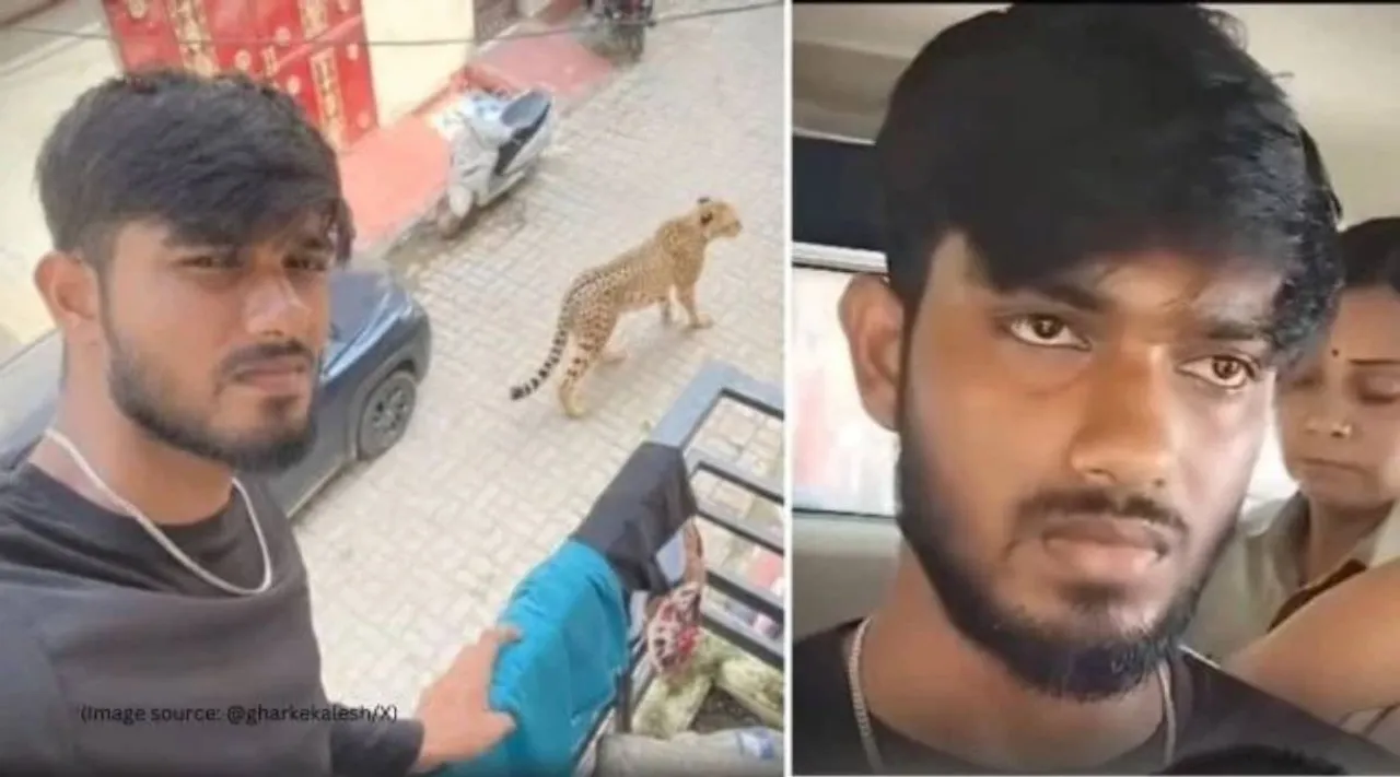 Lucknow-AI leopard