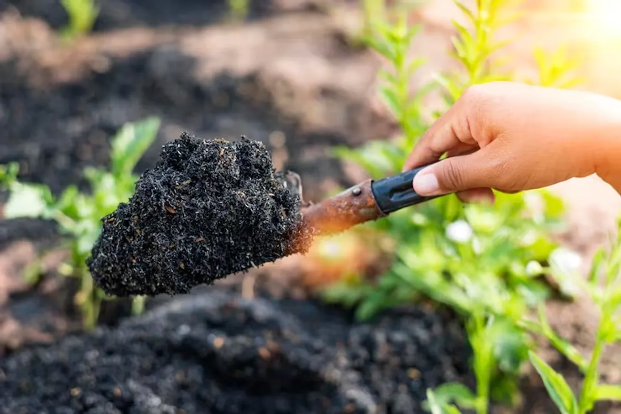 agriculture-people-concepts-people-with-shovels-digging-garden-beds-farms_1048944-19279716