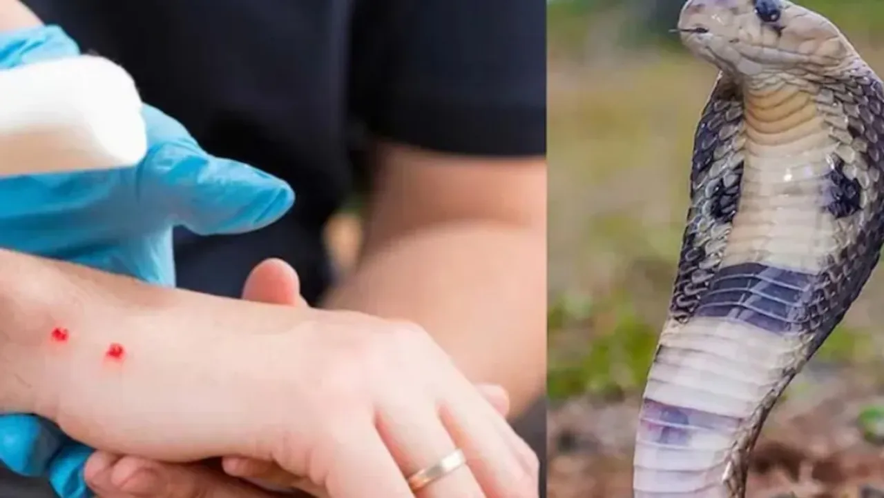 Screenshot 2025-11-03 170534