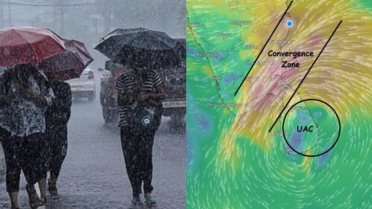 download - 2026-01-06T071643.738