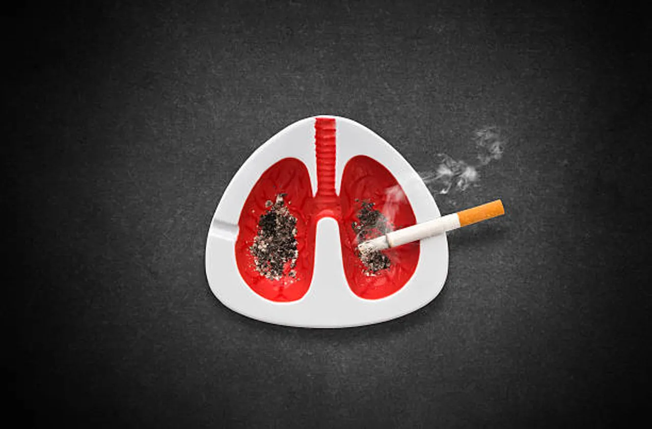 lungs
