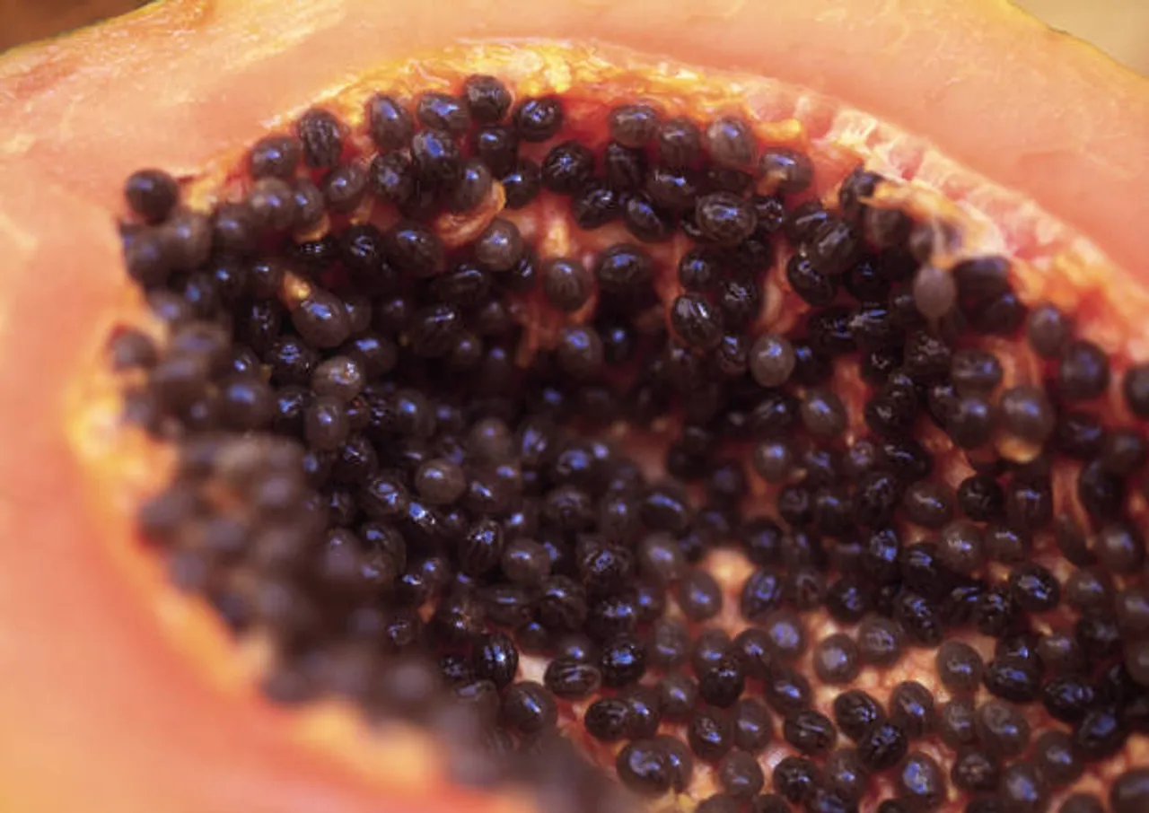 papaya