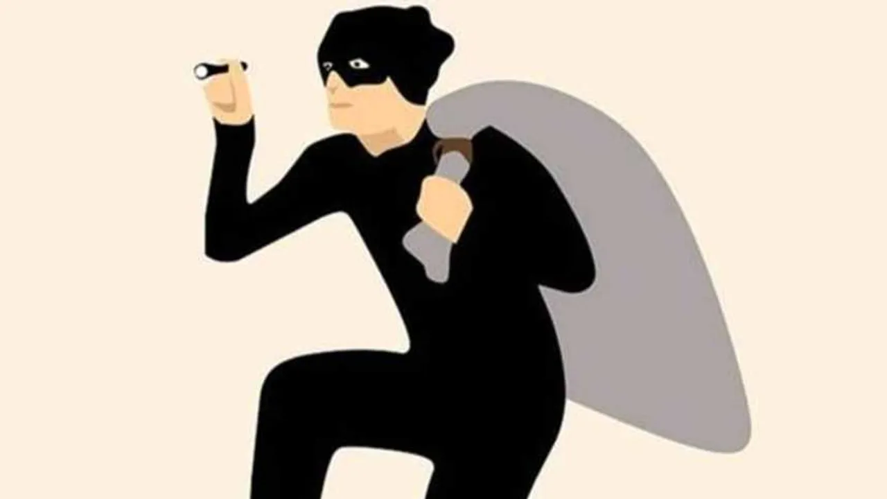 rep image robber