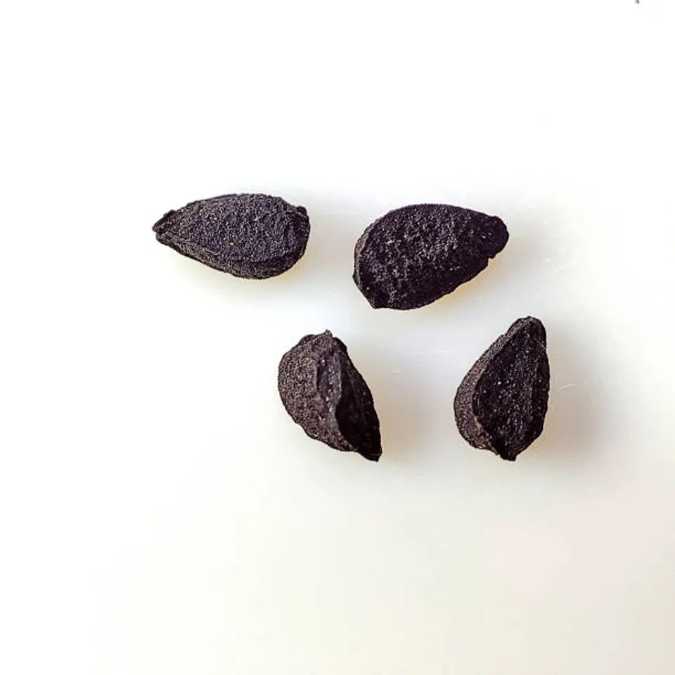 kalonji seeds