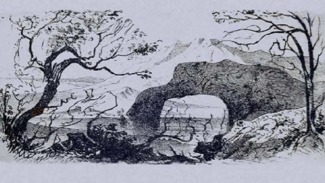 Animals 1 