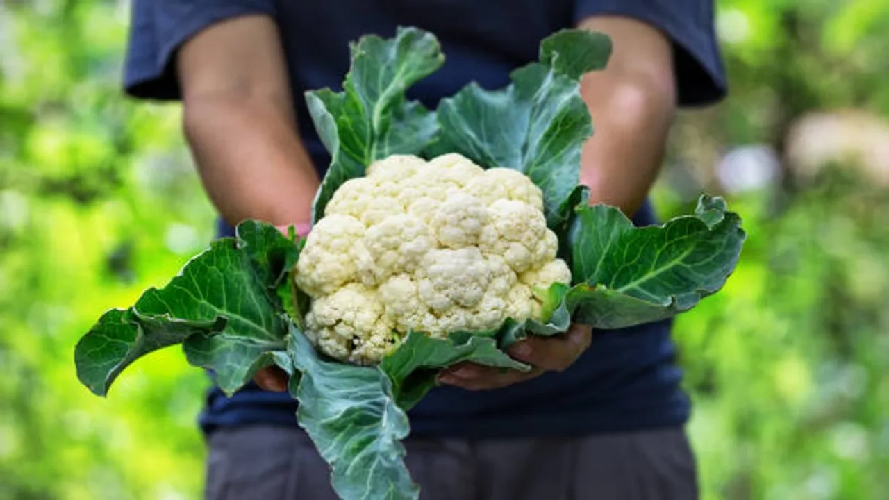cauliflower
