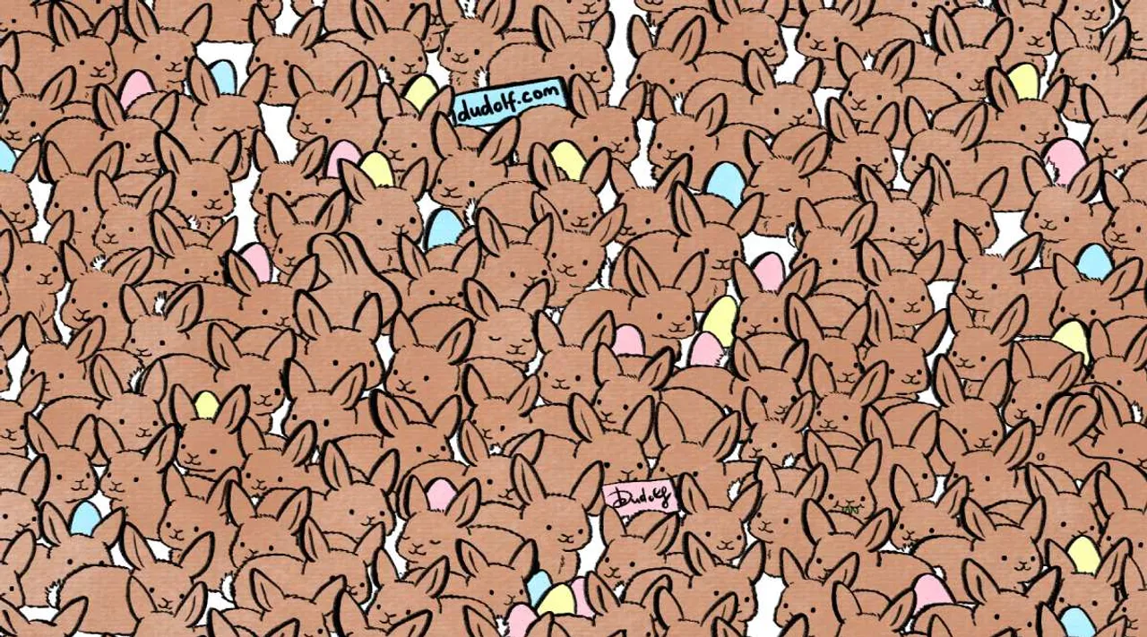 A 3 choco bunnies