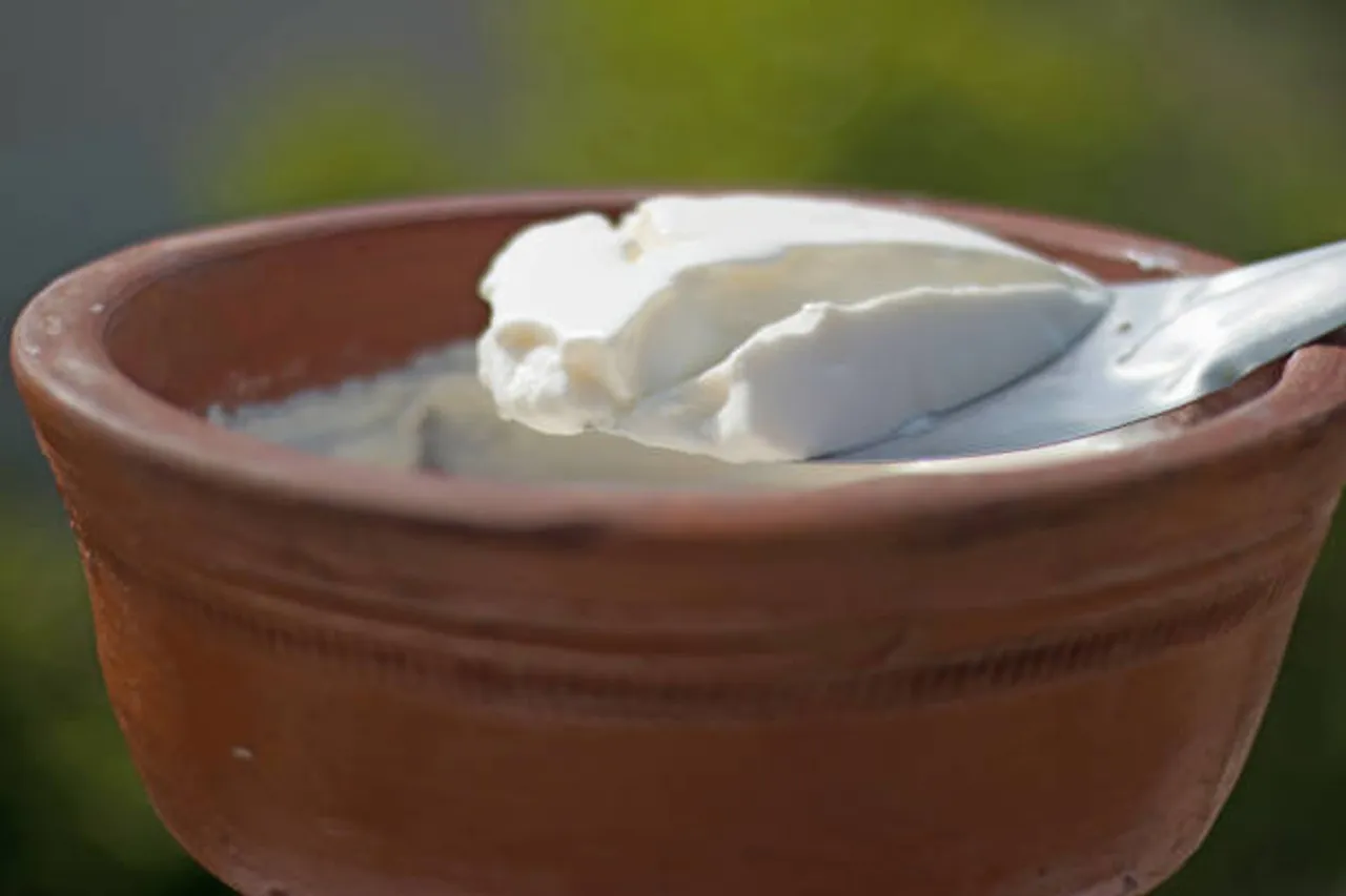 curd rice