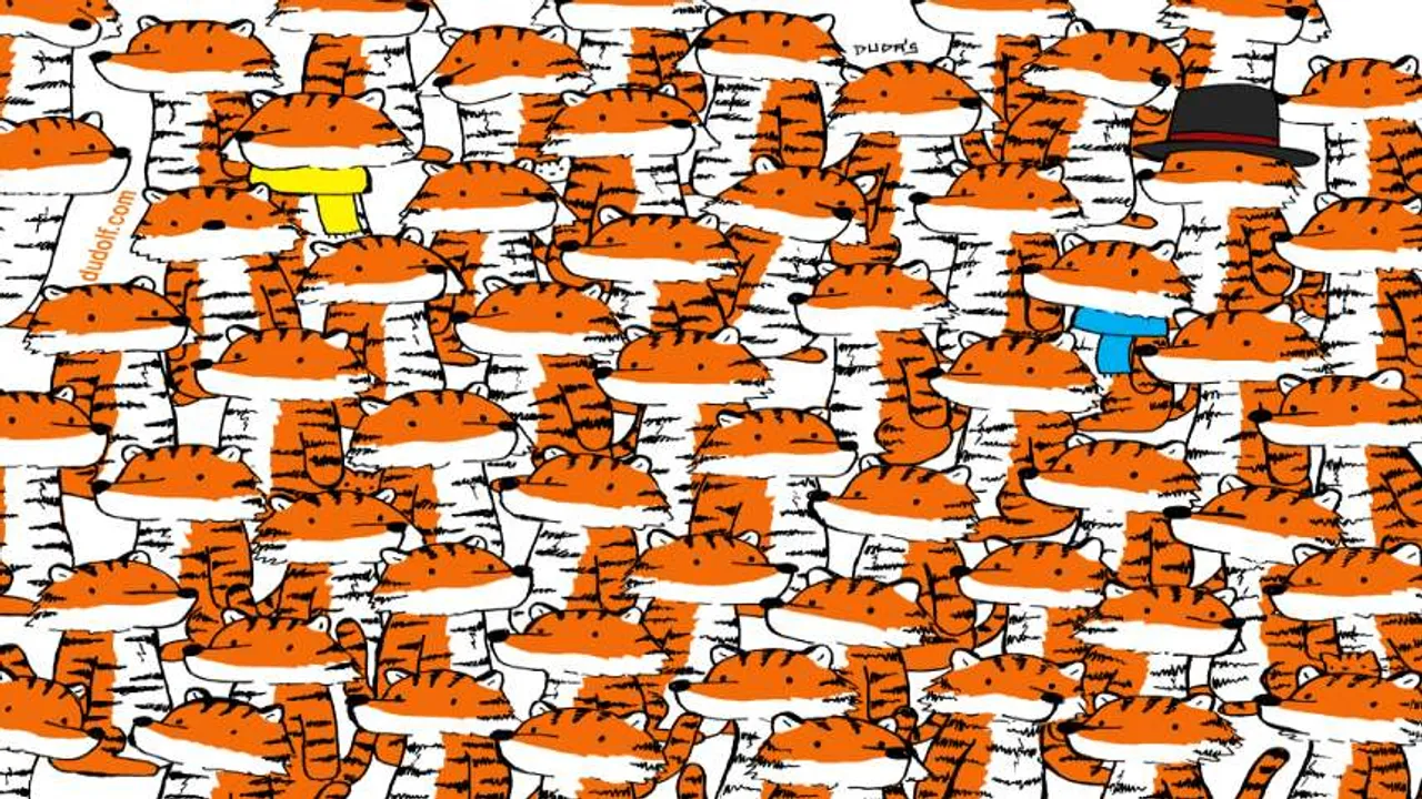 cats one