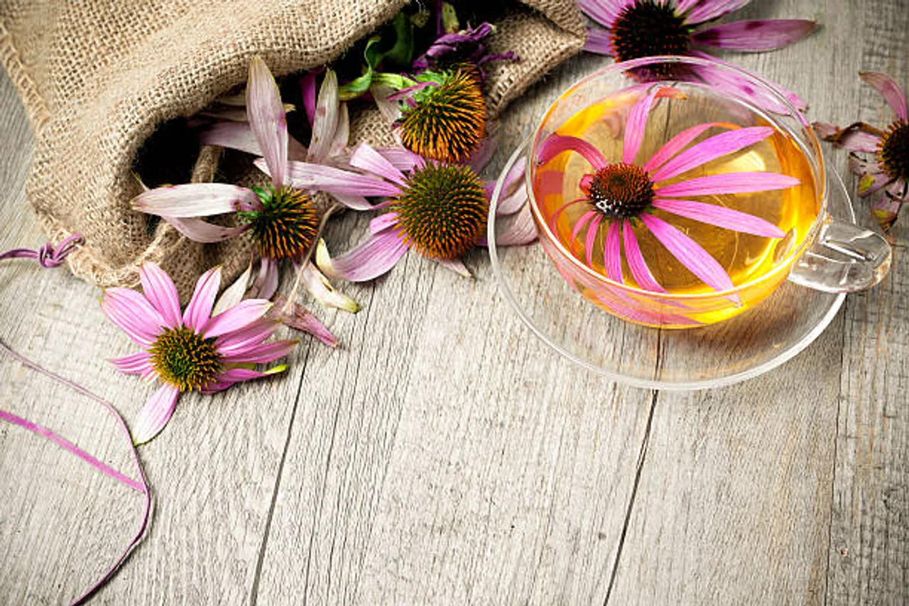 Echinacea tea