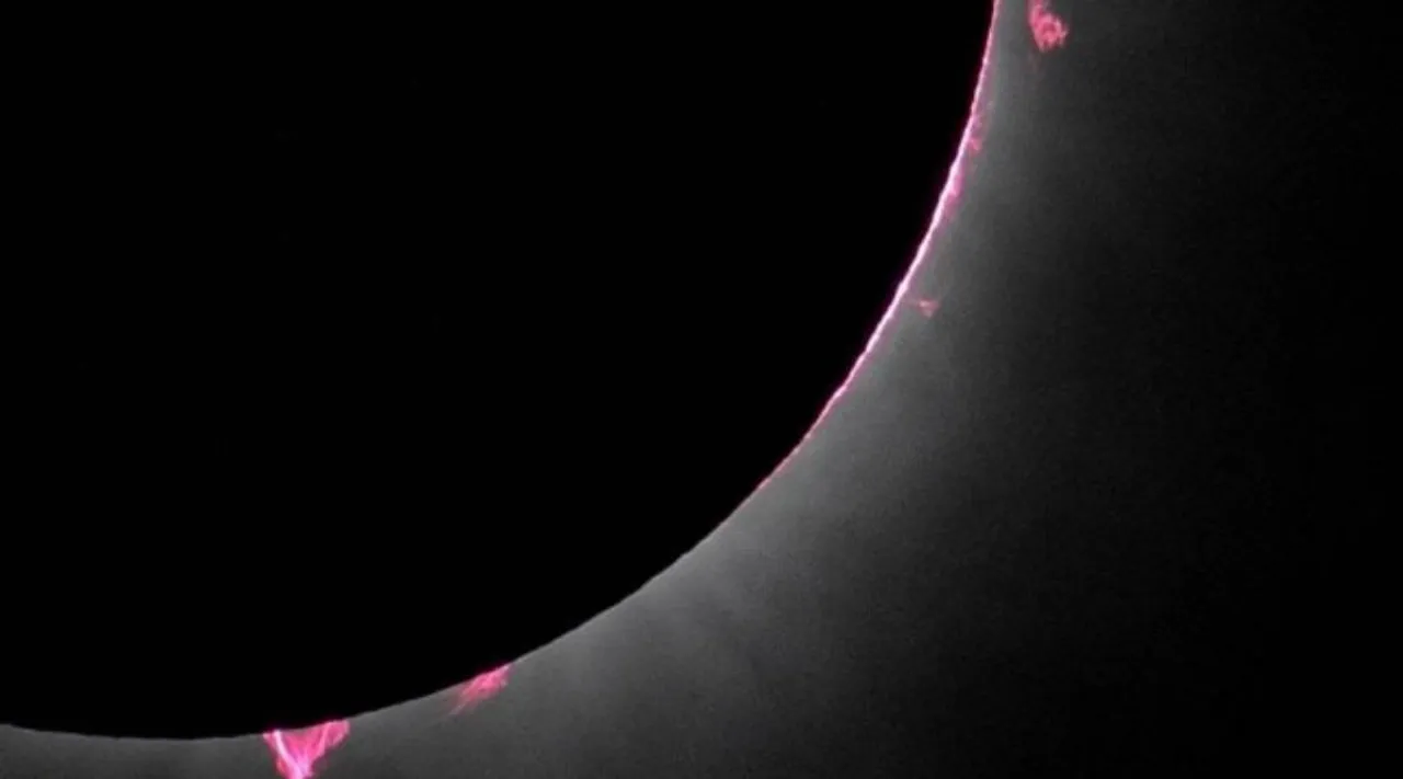 Solar prominences.jpg