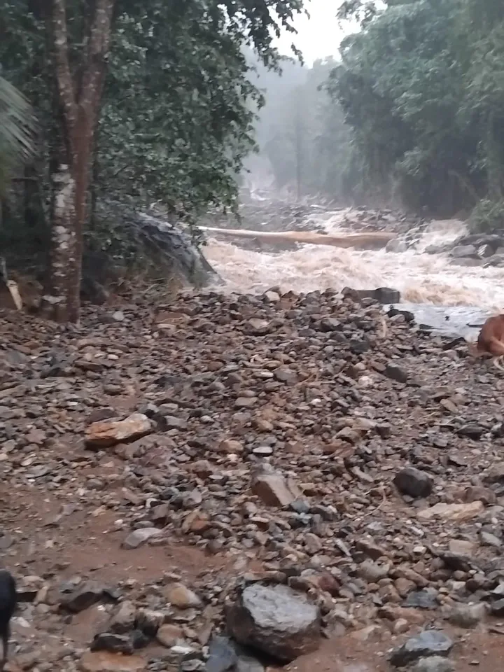 kerala wayanad landslide 